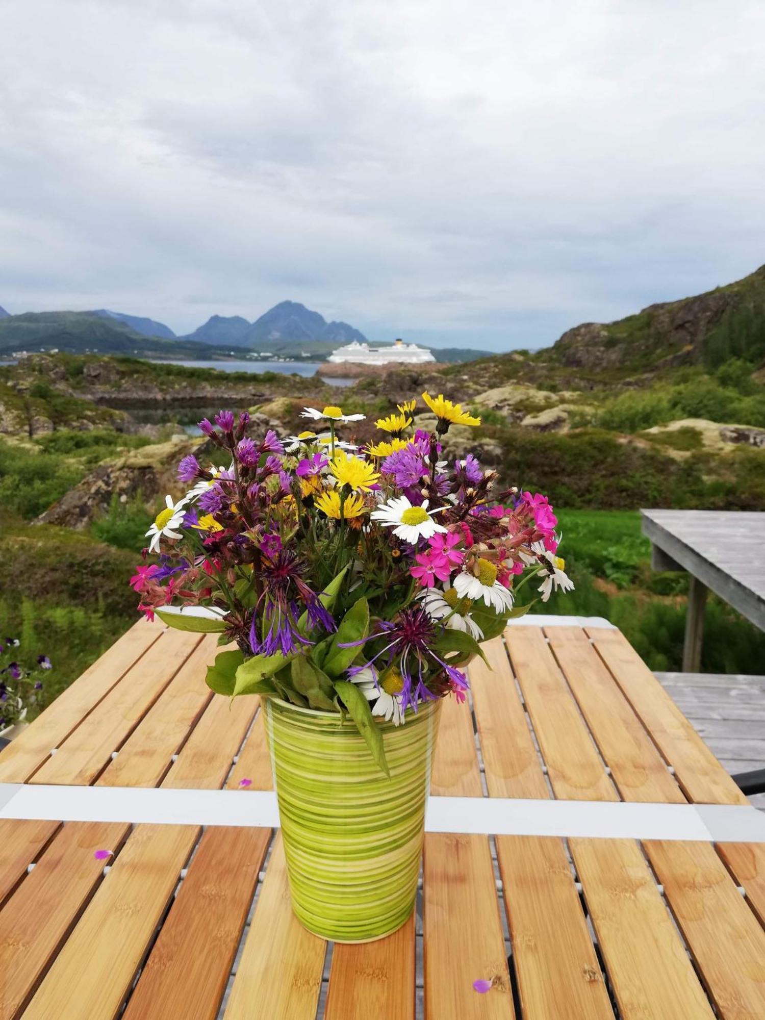 Unique Private Cabin In Lofoten Leknes Ngoại thất bức ảnh