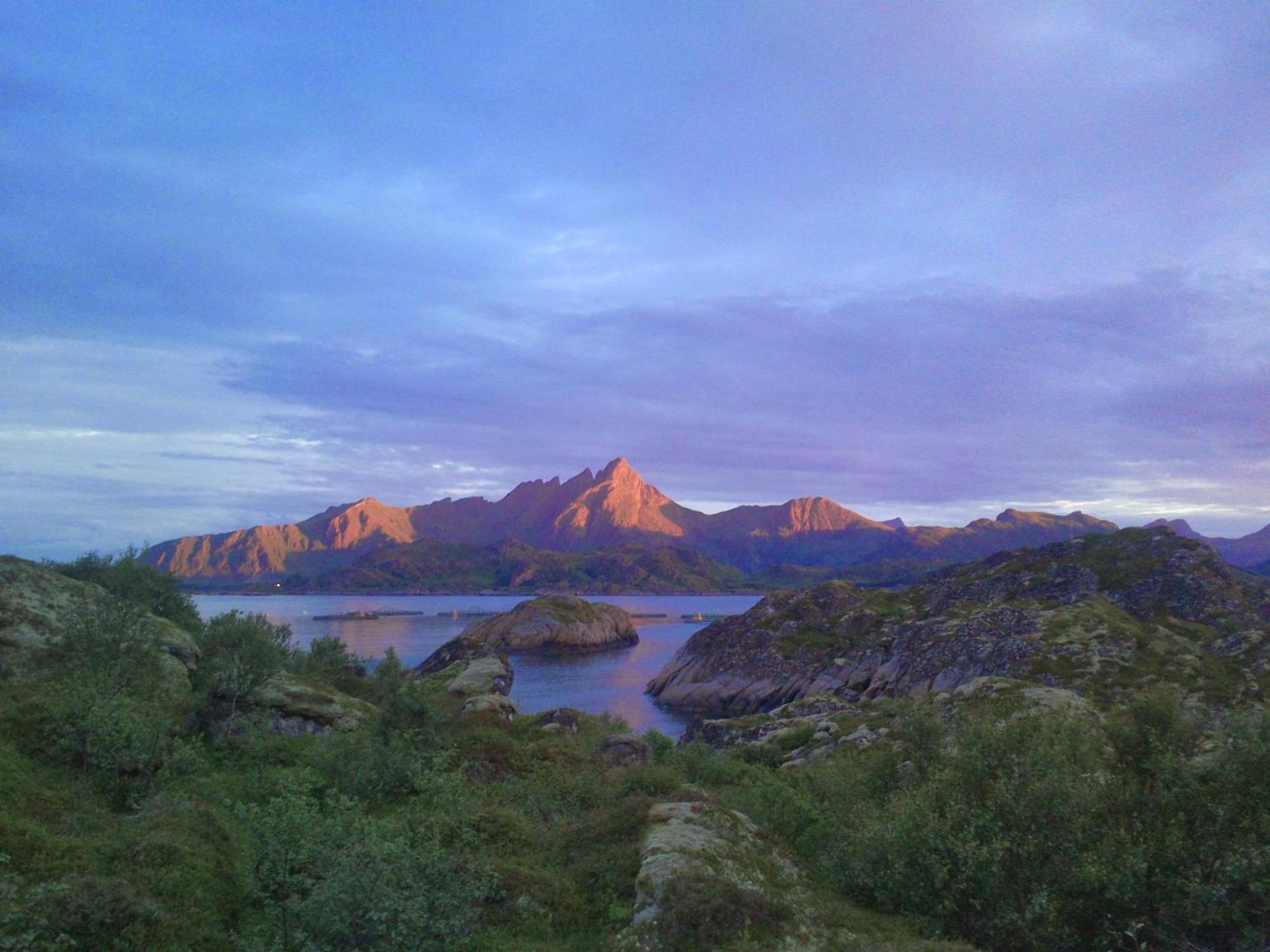 Unique Private Cabin In Lofoten Leknes Ngoại thất bức ảnh