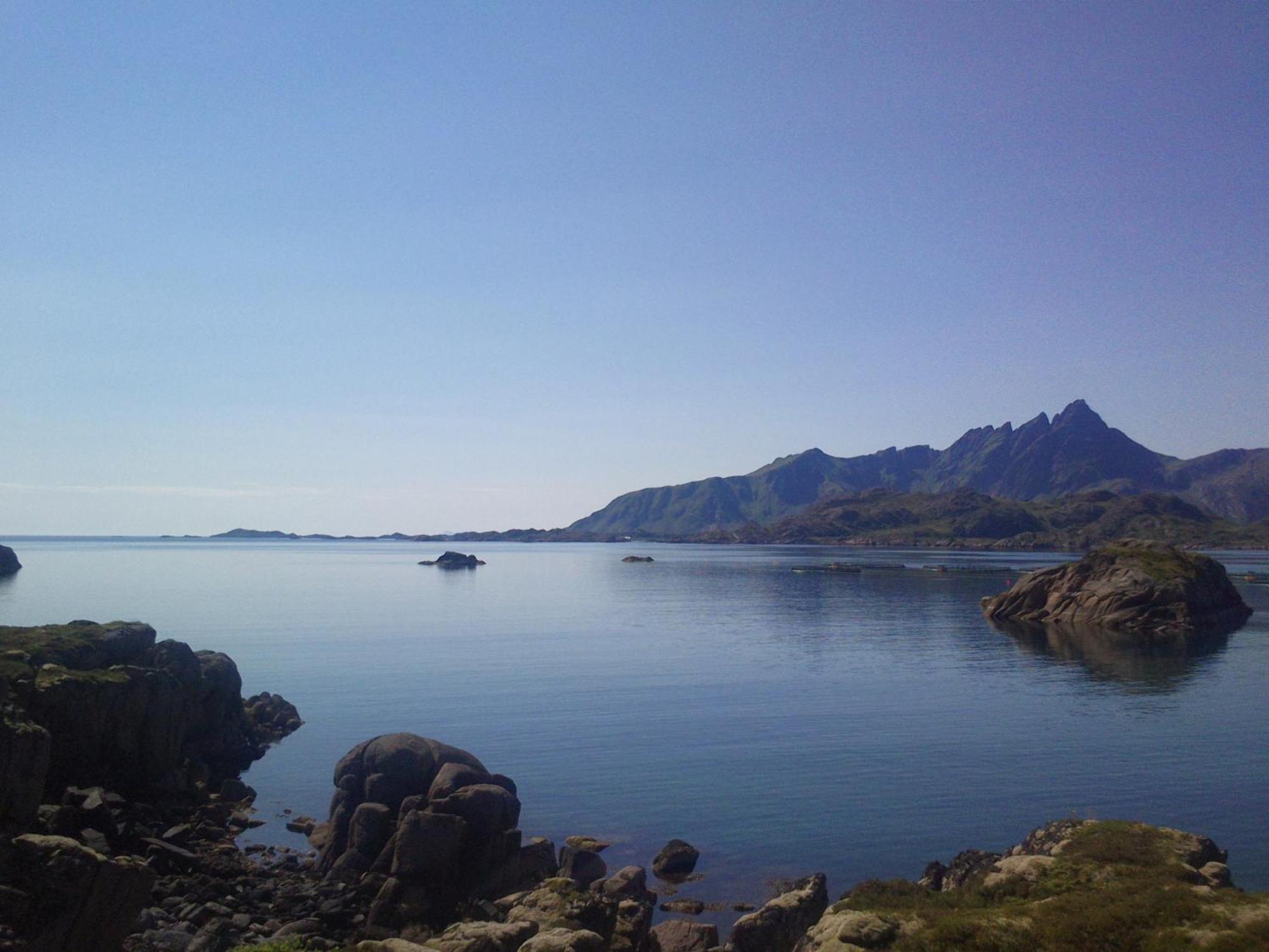 Unique Private Cabin In Lofoten Leknes Ngoại thất bức ảnh